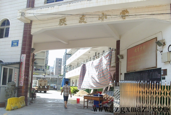 2014年8月15日集美聯(lián)友小學(xué)標(biāo)線施工